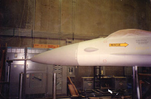 DrWoodF18Nose