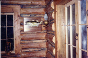 DrWoodLogCabin2